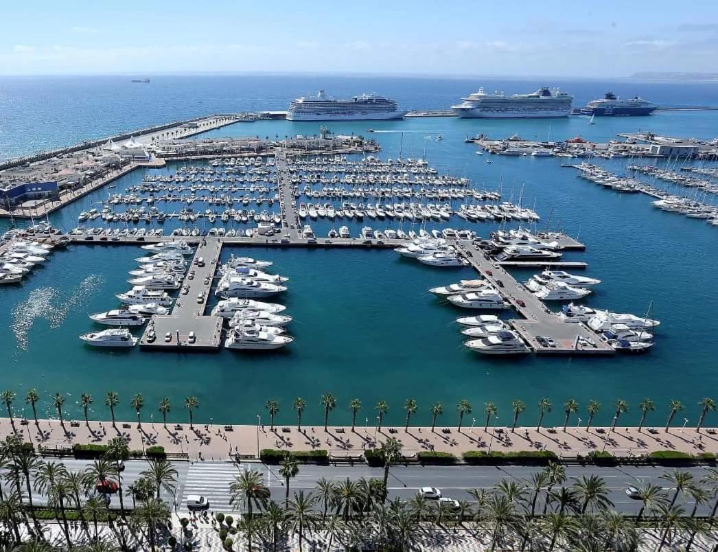 Charming Apartment In Alicante Near The Sea & City Center ภายนอก รูปภาพ
