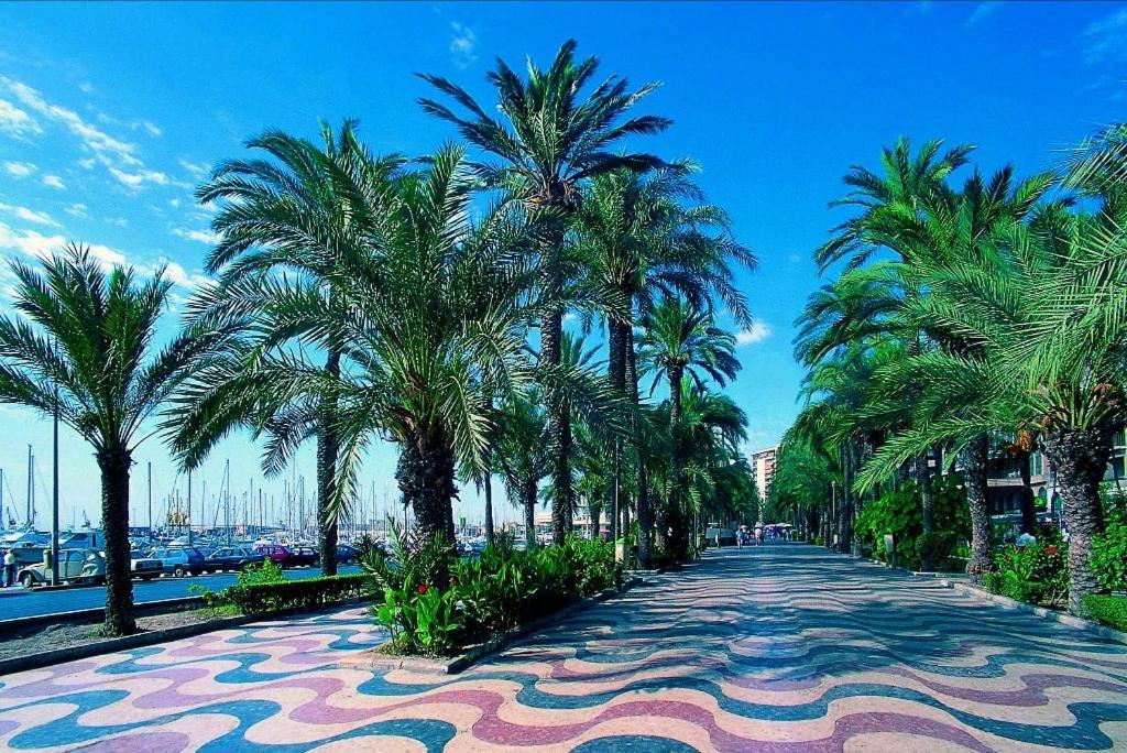 Charming Apartment In Alicante Near The Sea & City Center ภายนอก รูปภาพ